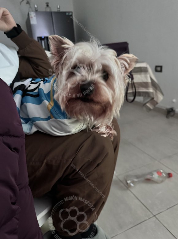Foto