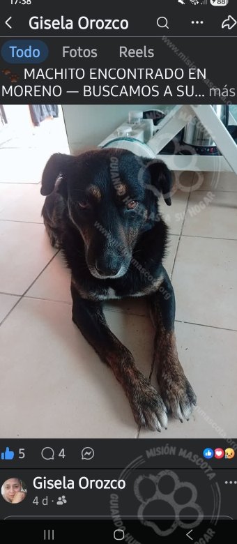 Foto