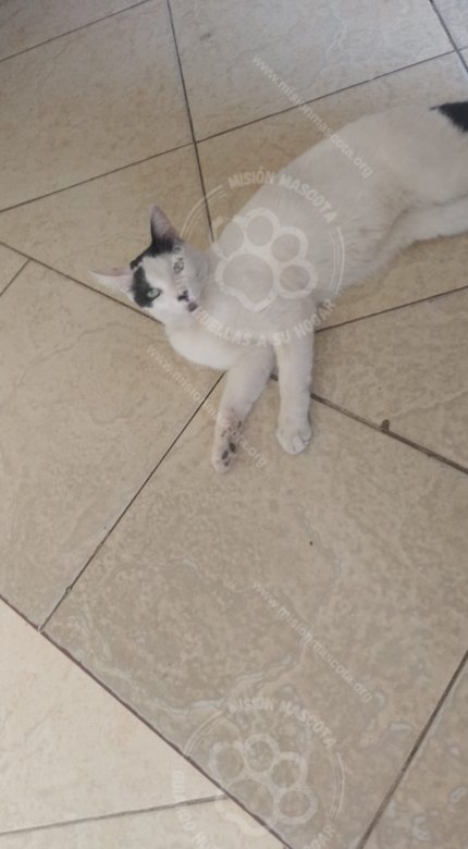 Foto