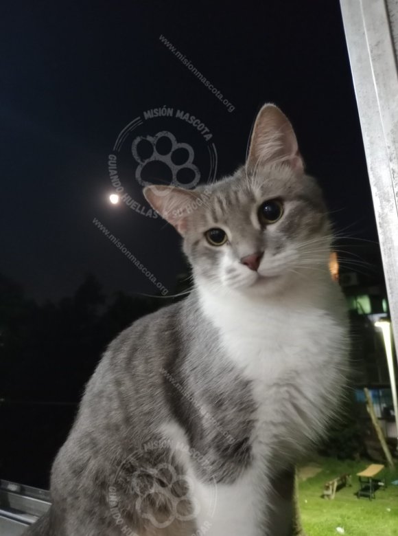Foto
